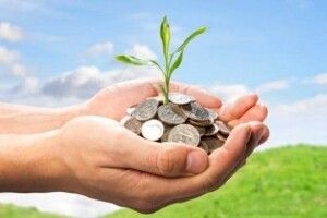 Чому фермерам відмовляють у держпідтримці