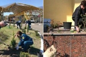 Волинські митники влаштували толоку на кордоні