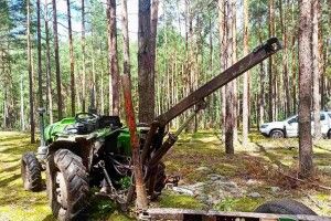 Хотіли накрасти деревини: на Волині зловили лісопорушників