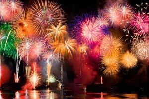 У Луцьку через салюти померла собака, ще одну – паралізувало