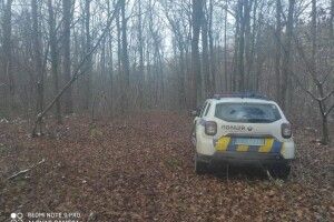 У Володимир-Волинському районі «на гарячому» спіймали чоловіка, що самовільно рубав ліс