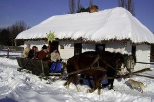 Сьогодні – 40 років від дня відкриття Музею історії сільського господарства Волині-скансену
