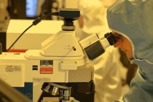 Перша успішна вакцина від COVID-19. Чи можна буде її купити в аптеці? 