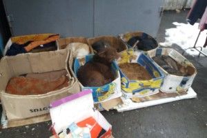 Добро потрібно робити, а не говорити про нього!