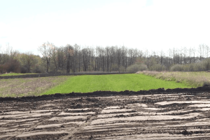 Під Луцьком засіяні городи селян бульдозер зрівняв із землею (Відео) 