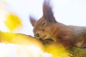 Завтра Волинь оминуть дощові хмари