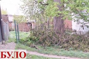 У Луцьку муніципали «навели лад» на двох вулицях міста