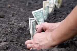 На Волині продали земель майже на 20 мільйонів гривень
