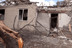 Після російських обстрілів неподалік Бахмута живцем згоріли пів сотні корів