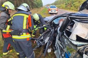 На Волині в жахливій автокастрофі загинула молода жінка, а її діти в шоковому стані доставлені в лікарню