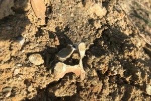 У Ковелі створять меморіальний комплекс