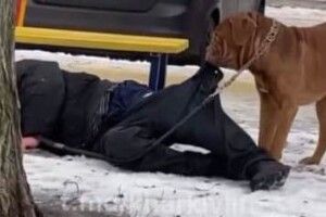 Собака за штани волочив додому п'яного господаря
