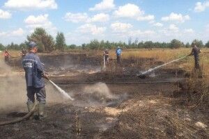 За минулий тиждень волинські рятувальники ліквідували 28 пожеж, у тому числі 7 – на торфовищах