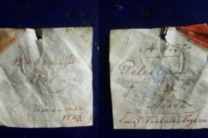 200-річну записку знайшли столичні музейники в дзьобі опудала пелікана