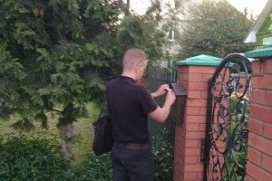 У Луцьку муніципали не допустять пакетів сміття під деревами і електроопорами