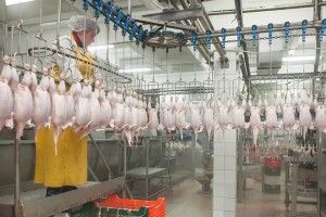 Володимир-Волинська птахофабрика відтермінувала здачу нового переробного комплексу 