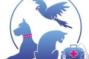 На ветмедицину просять співфінансування з обласного бюджету