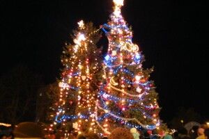 Коли у Луцьку засвітять головну ялинку