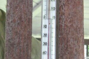 Тепліше, аніж в Криму та Одесі: в районі на Волині зафіксували температурні рекорди