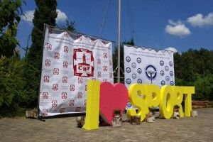 На Світязі науковці із різних куточків світу з'ясовують, як фізична активність може вплинути на якість життя людини