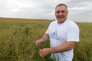 На Горохівщині жнива розпочав чемпіон світу Валентин Слуцький