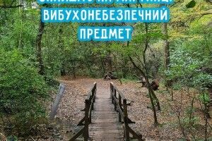 Волинські рятувальники показали фото, на якому пропонують знайти вибухонебезпечні предмети (Фото)