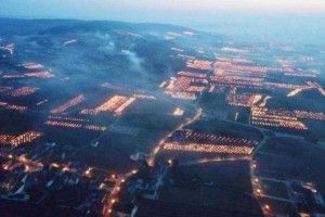 У Франції масово палять вогнища на виноградниках