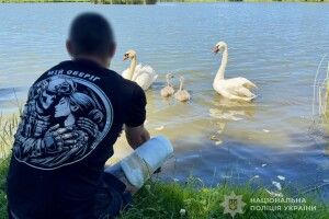 Відпочинок, риболовля та волейбол – на Волині воїни відновлюють сили через єднання