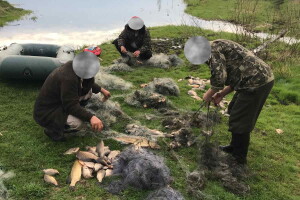 На Волині засудили браконьєрів, які під час нересту ловили сітками рибу в Нацпарку 