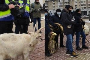 Як біля Волинської ОДА коза на прив’язі протестувала (Відео)