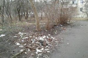 У Луцьку розтанув сніг, а під ним – товстий шар сміття... (фото)