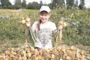 ФОТО НА КОНКУРС: щедре волинське літо