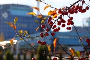 Українська енергосистема працює без трьох атомних блоків
