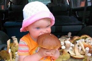 Через отруєння грибами померли  3 дітей з однієї родини, ще 5 – важко захворіли