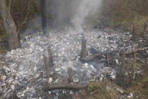 Так ніхто не курив… (фото і відео)