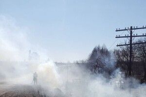 На Волині під час рейдів за тиждень піймали 7 паліїв трави