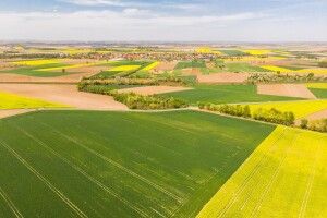 У фермерського господарства на Волині забрали 46 гектарів землі 