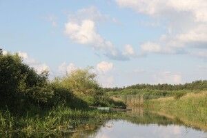 Малі річки Полісся: 44-клометрова Користинка несе свої води в озеро Люб’язь
