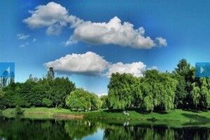 У парку імені 900-річчя Луцька побільшає місць для вигулу домашніх тварин