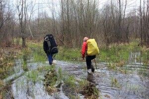 Молодь активно відгукнулася на участь в екопоході «Природні скарби Цуманської пущі»