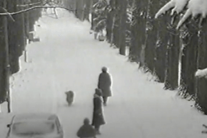 Лучанам показали зиму в центральному парку 1998-го року (Відео)