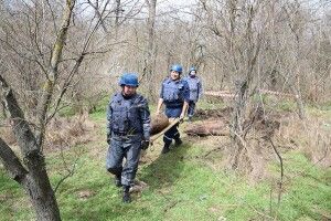 Піротехніки ДСНС вилучили та знищили 203 вибухонебезпечних предмети (Фото)