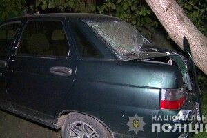 32-річна дама добряче хильнула й наїхала «Жигулем» на чотирьох малолітніх дітей (Фото, відео)