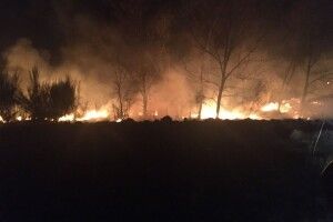 На Волині вогонь дійшов вже до села