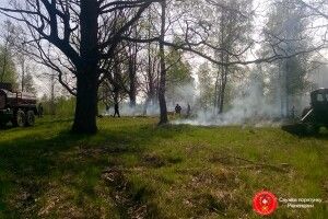 На Рівненщині гасили підпалений «туристами» ліс (фото)