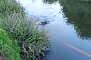 На Волині втопився молодий чоловік