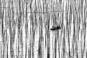Опубликовані знімки переможців конкурсу чорно-білих фотокарток  MonoVisions Photography Awards 2017
