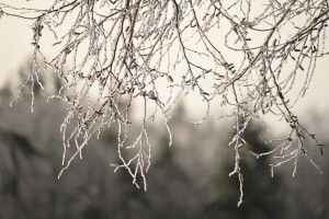 Якою буде погода у Луцьку завтра