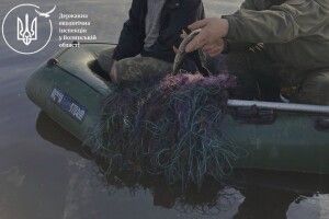 Врятовані щуки та виписані штрафи: на Волині екоінспектори «накрили» паліїв, браконьєрів та лісорубів