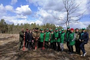 На Камінь-Каширщині посадили два гектари нового лісу